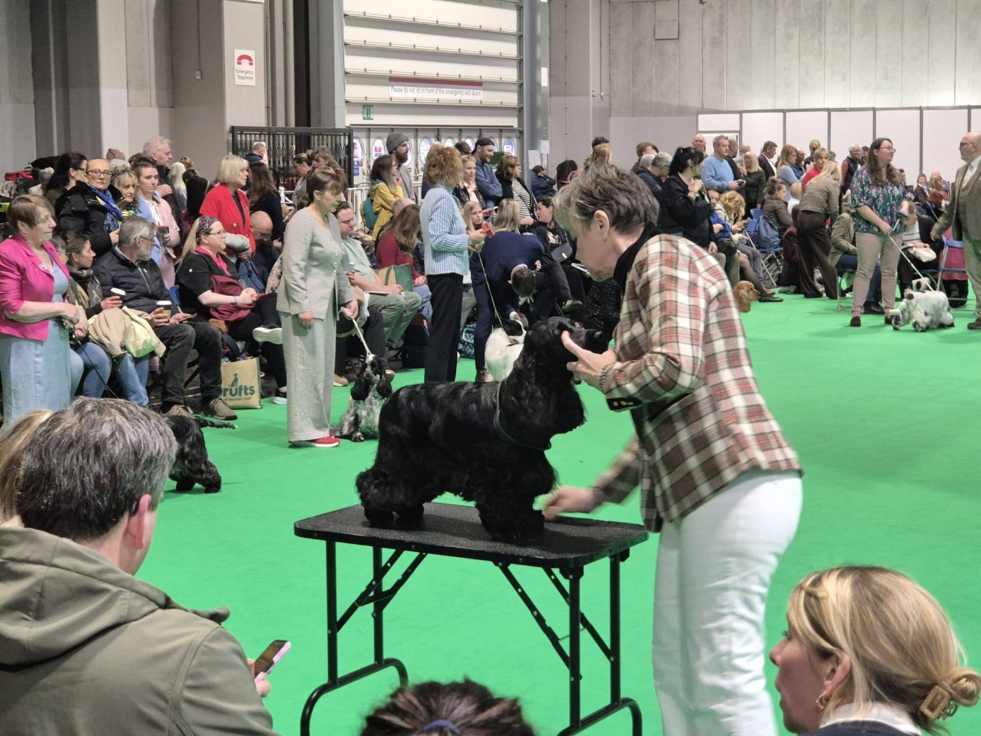 des Fleurs de Garrigues - CRUFTS EDITION 2026