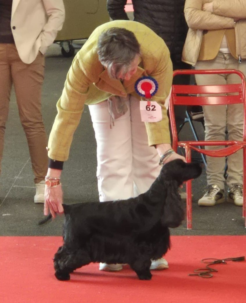 des Fleurs de Garrigues - NATIONALE D'ELEVAGE EDITION 2026