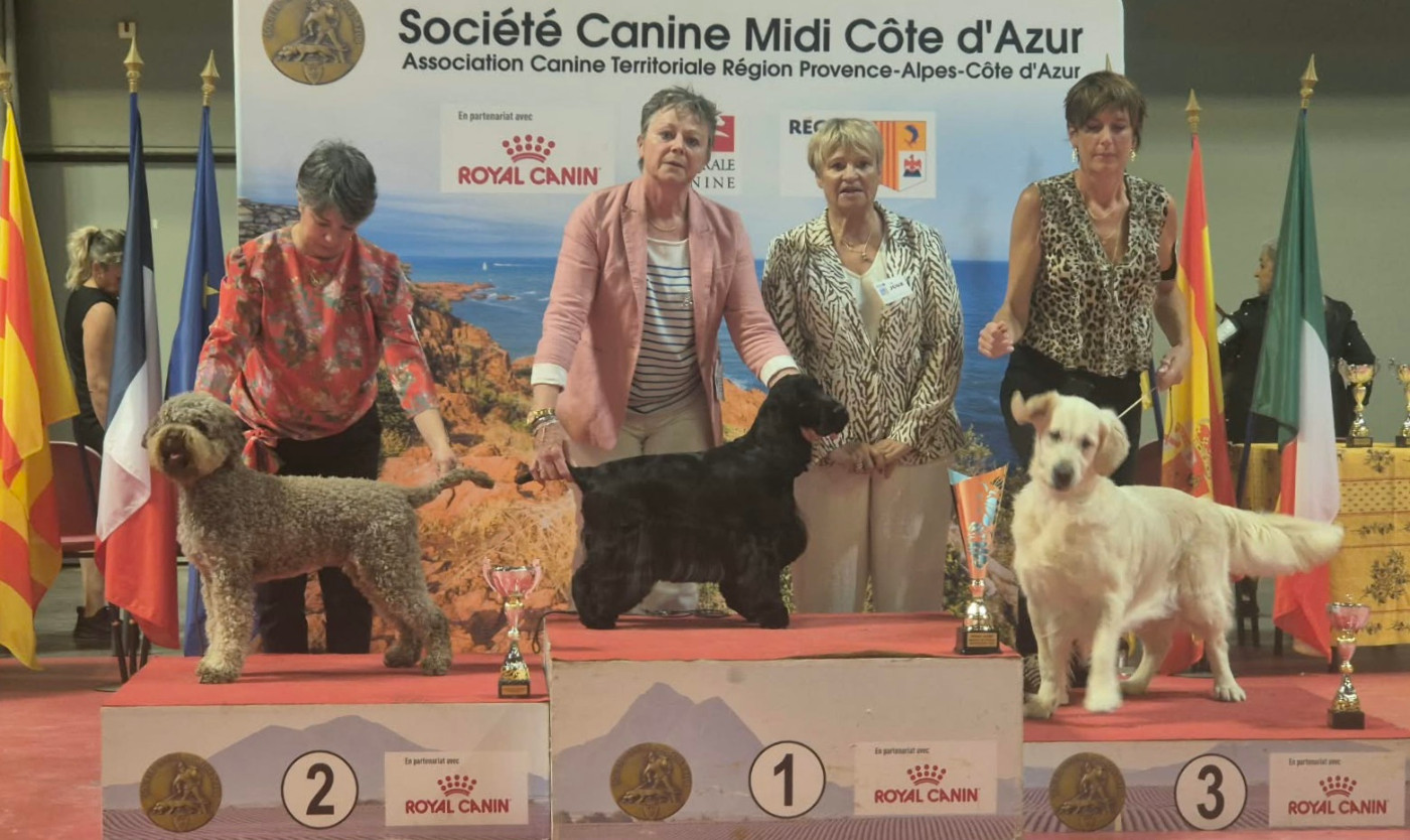 EXPOSITION INTERNATIONALE DE MARTIGUES